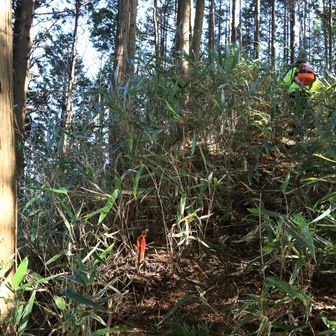 あの激下りを下りるの怖いから
周回で戻ることに😅