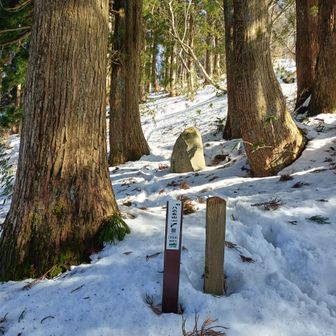 栃原峠の石碑まで到達。帰りの時間から今日はここまで。ここまで道になってるので、週明けの寒波来る前にもう一度来たい。