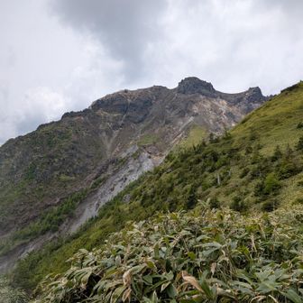 焼岳