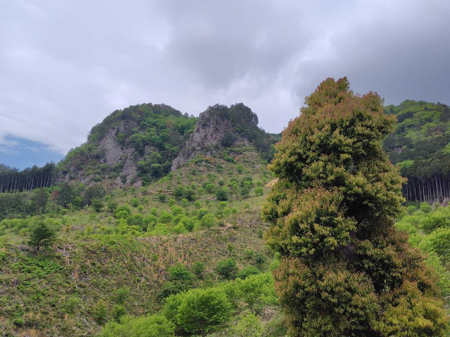 南登山道入口-古賀志山 周回コースの写真
