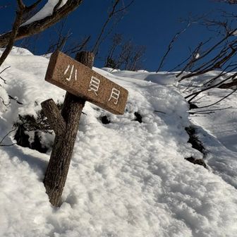 いきなり現れる小貝月🏔️のピーク