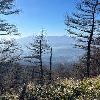 ごきげんよう〜八ヶ岳さん💕