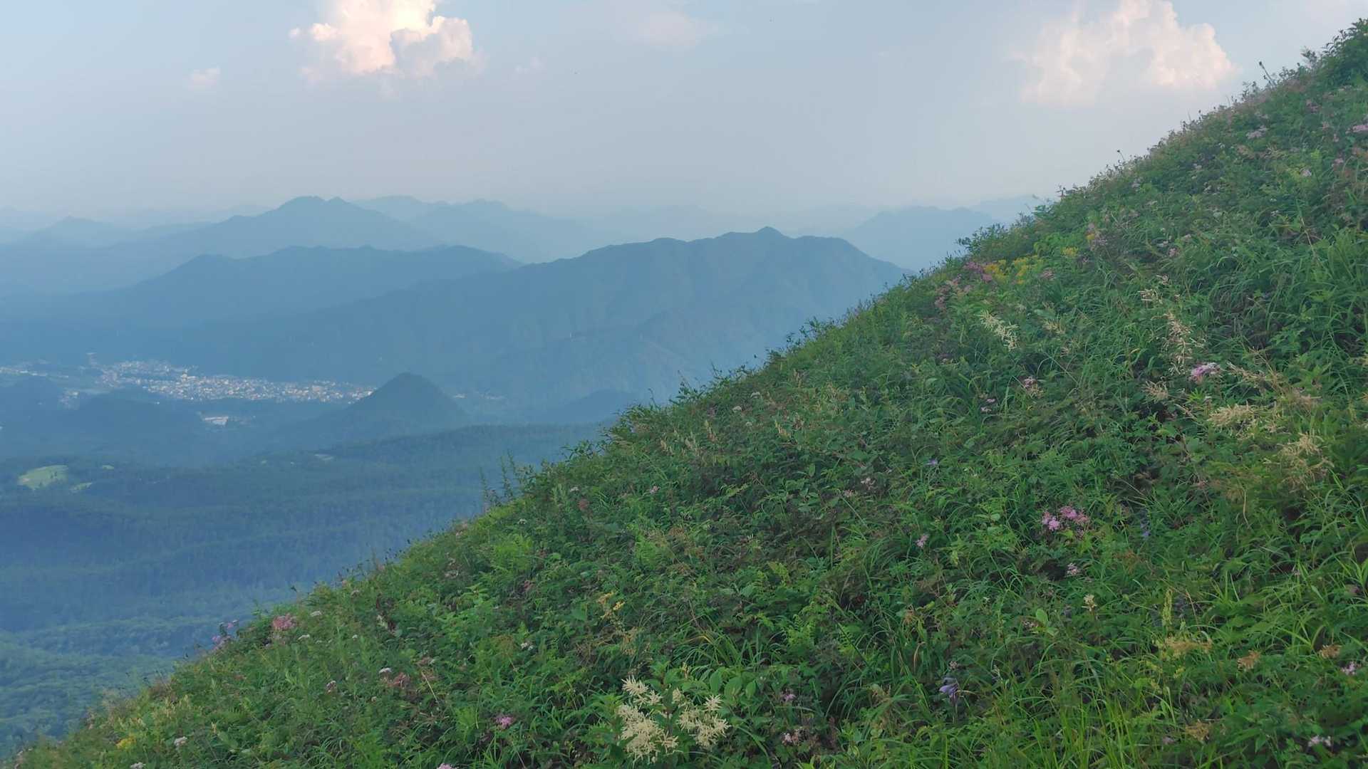 鳴虫山（中央）も良く見えます。