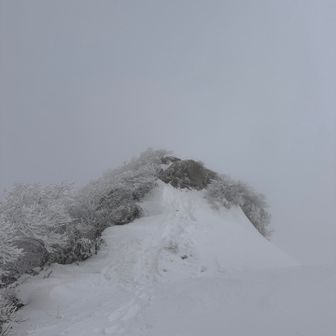 途中に岩があったり