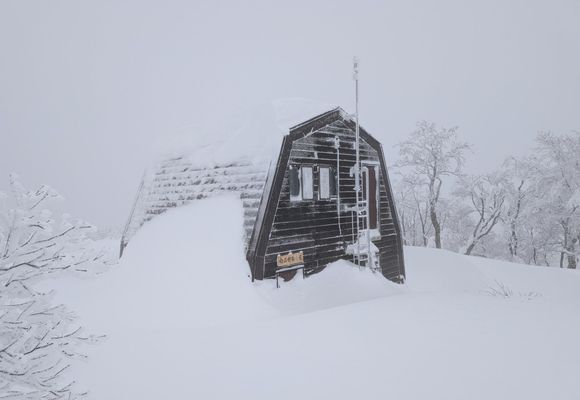 ZZ｜新潟県の登山記録 | YAMAP / ヤマップ