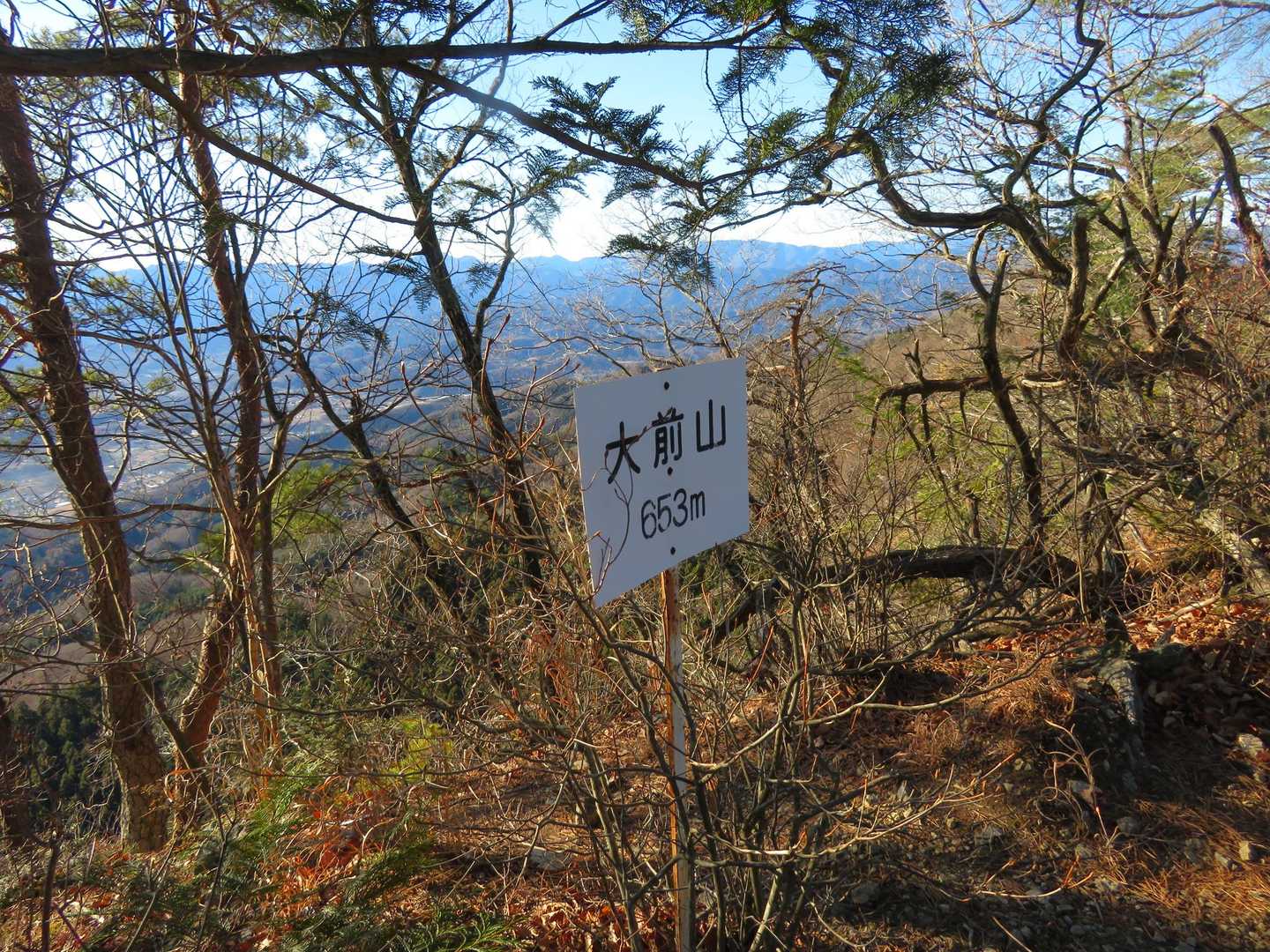 本日最高峰の大前山に到着。
