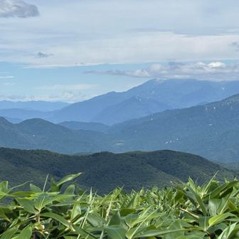 奥に木曽駒ヶ岳、白っぽいのは千畳敷カール？