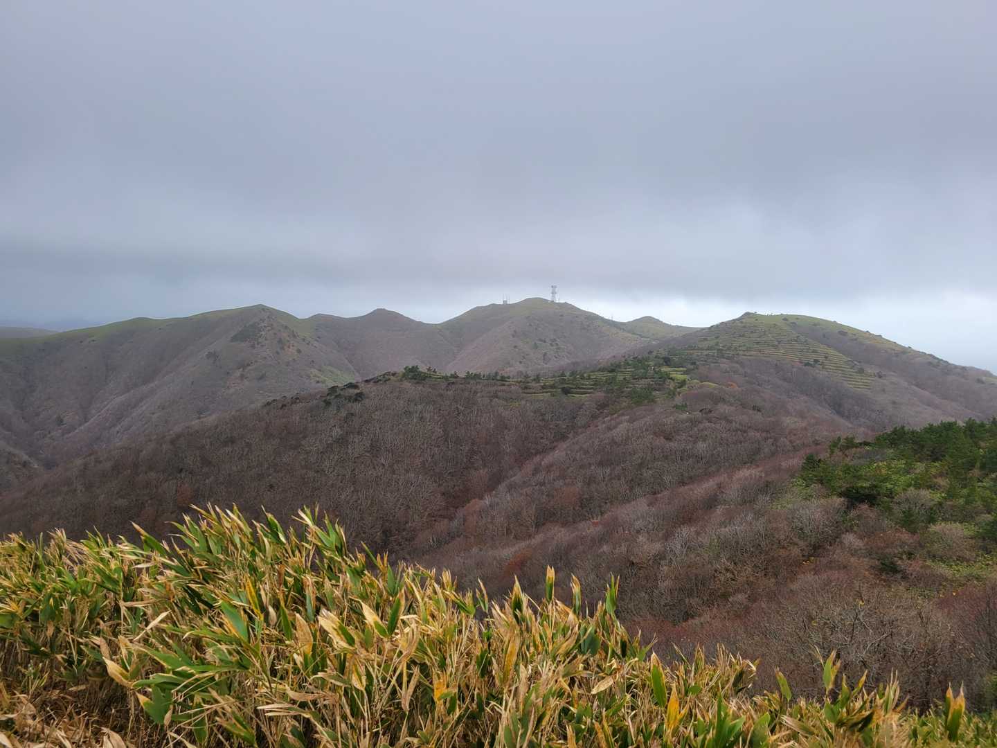 先ほどの白神岳が見えた👀
