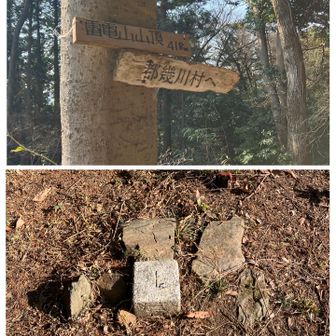 【埼玉県の山50】雷電山⛰️三等三角点👇