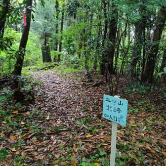 二ツ山北峰方向へ。新しめの手作り標識あり。