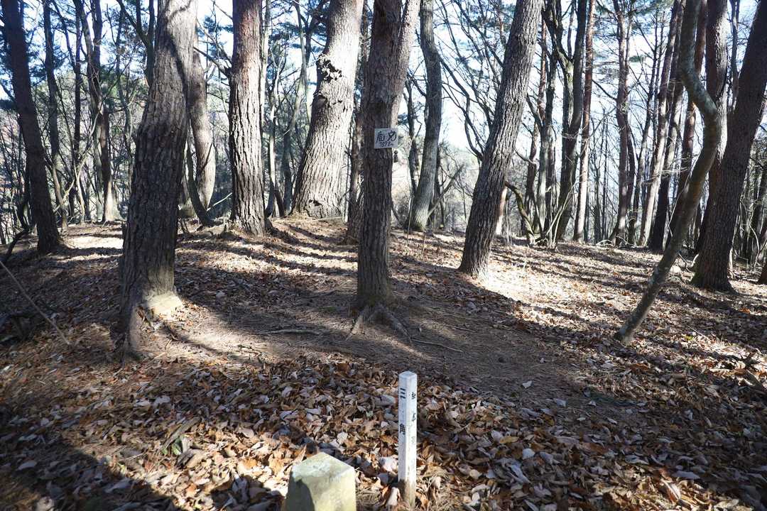 鹿穴の山頂
三等三角点