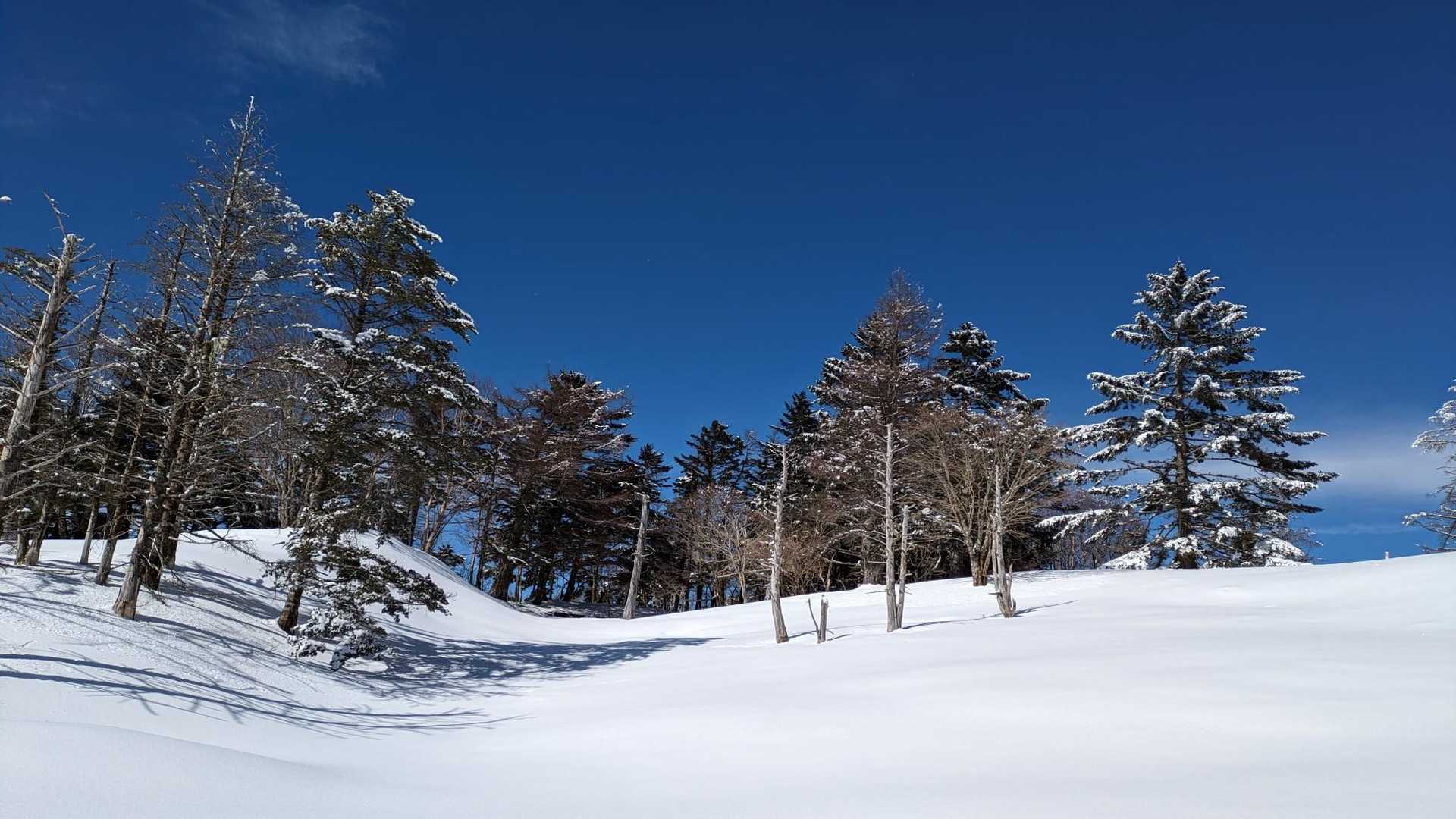 山伏登山口-蓬峠-山伏 往復コースの写真