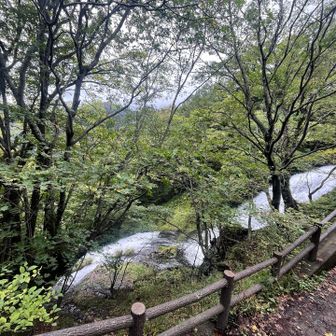 帰りは来た道を登っていきます  地味に息が切れる、、