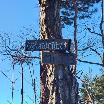 小菰石山333㍍登頂しました✨️