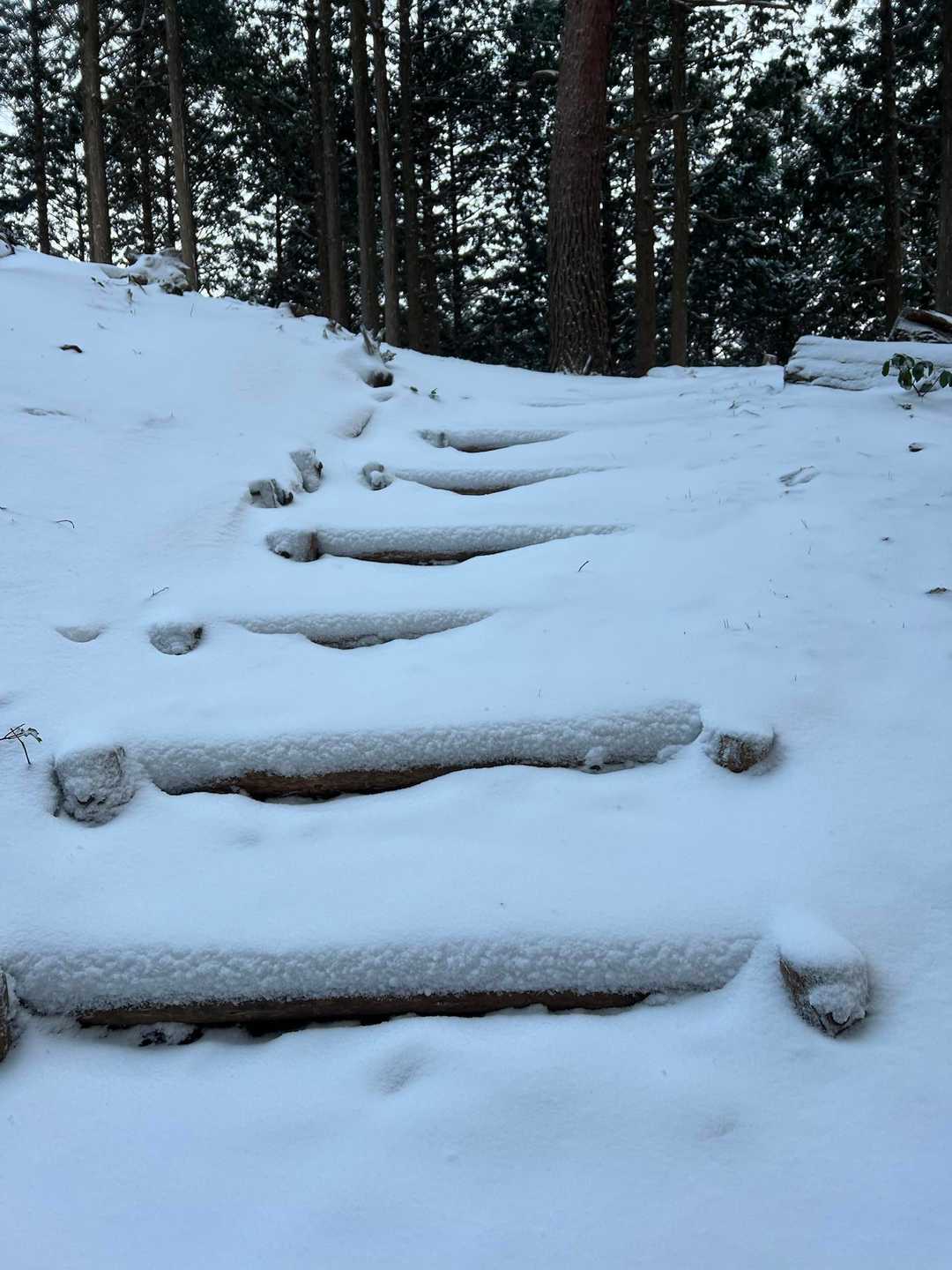 ちょっと予想外な積雪量m
やっぱりペースも落ちてますね。