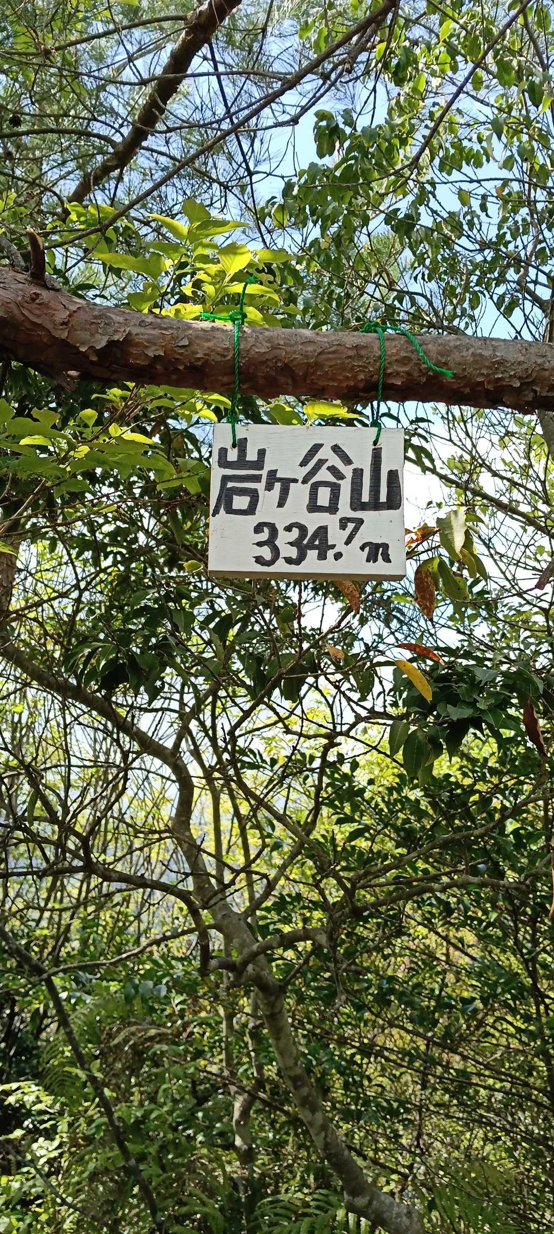 岩ヶ谷山山頂　334.7m。