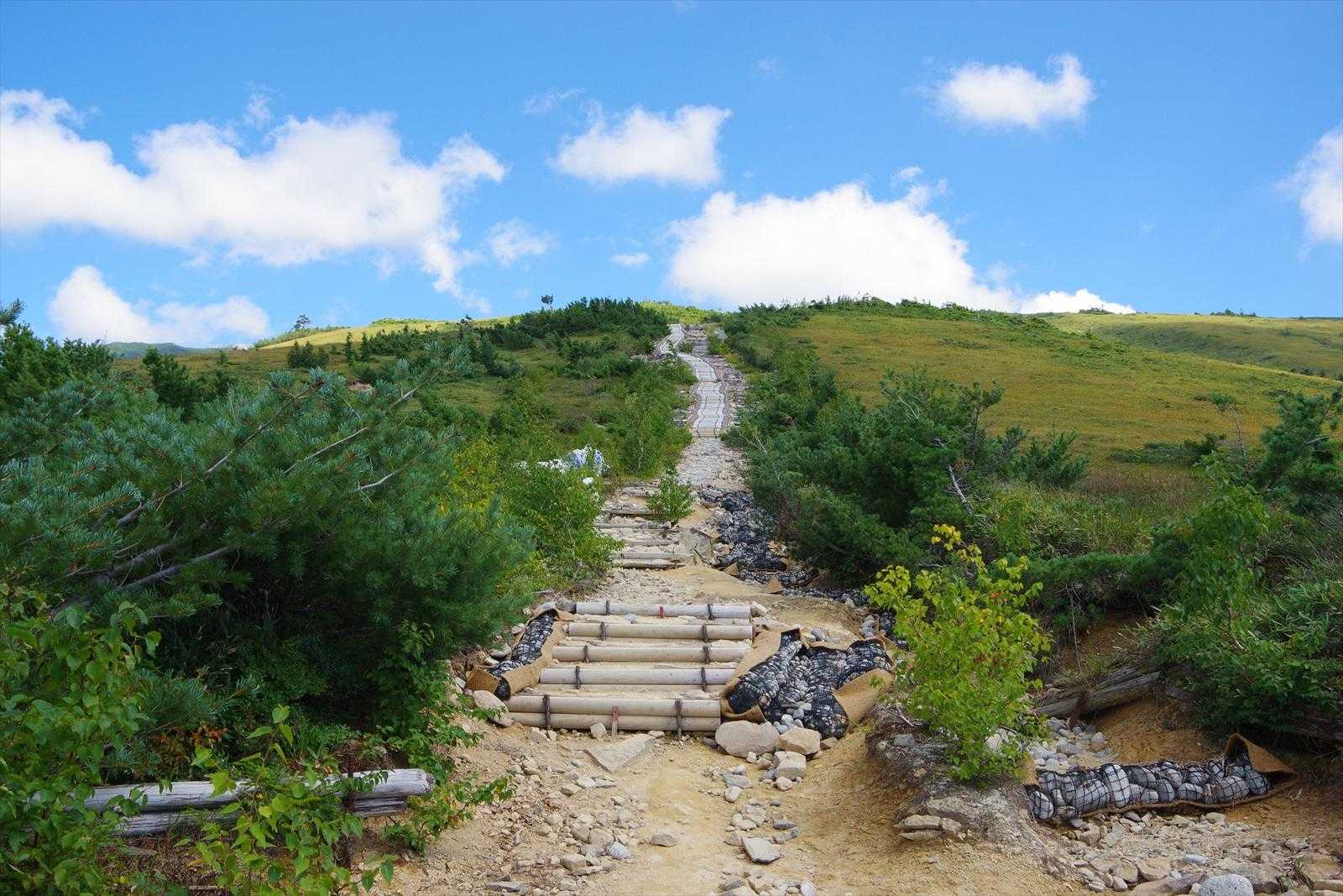 アラスカ庭園-五光岩ベンチ-薬師岳登山口 縦走コースの写真