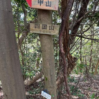 四国山山頂

今日はここで戻ります。