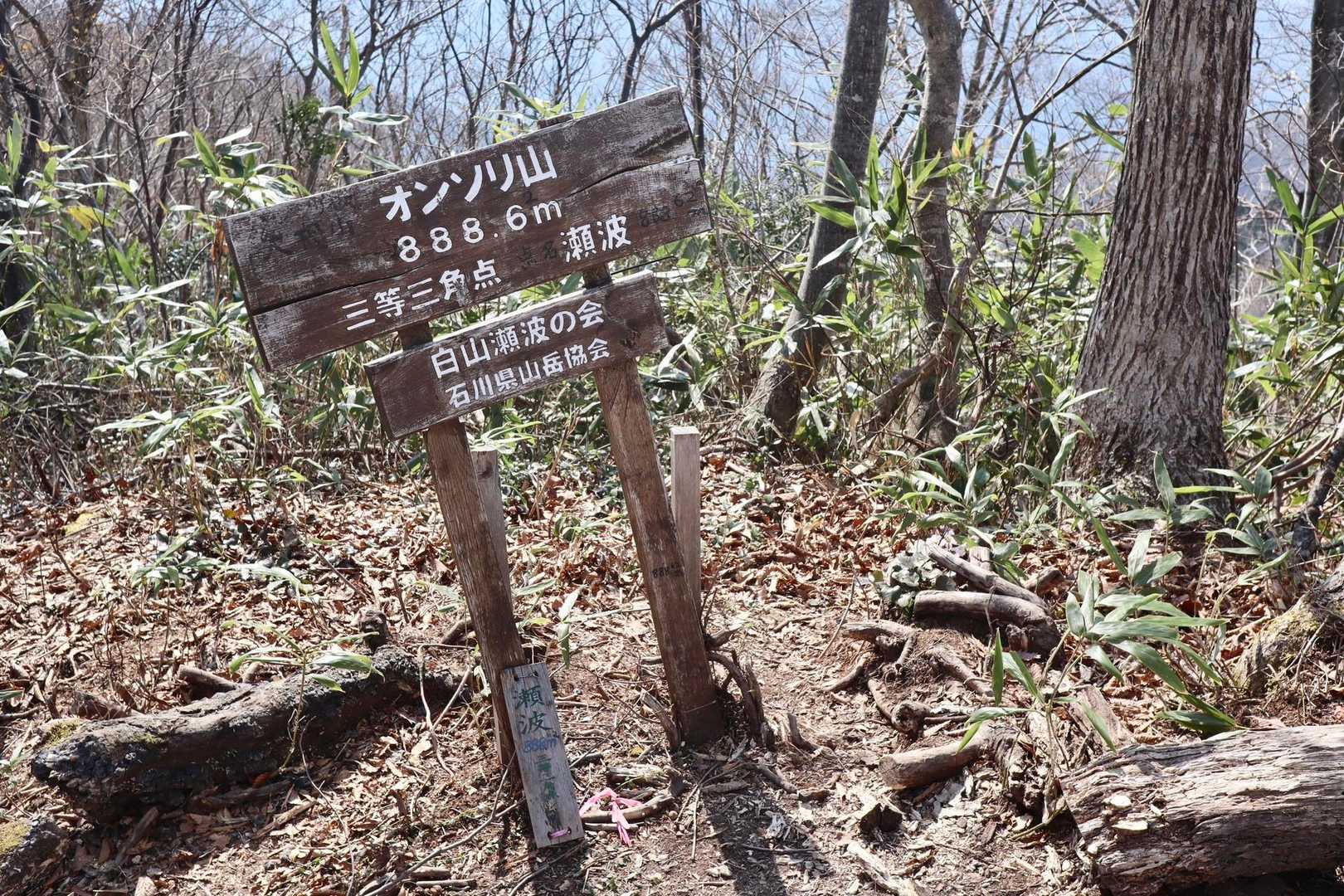 オンソリ山　登頂🙌