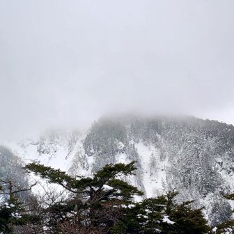 下山中に振り返る⋯

ここで晴れてたらイラッとしますが、曇ってて良かった(笑)