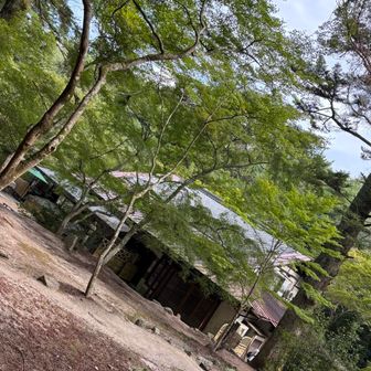 オープンしていない茶屋🍵前を通って、