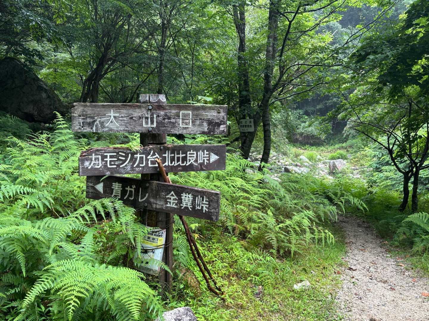 来る時に通った「大山口」まで戻って来ました👍