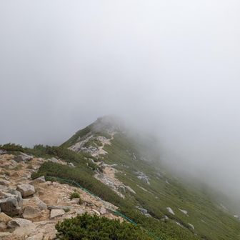 伊那前岳方面は休日でも空いてて快適