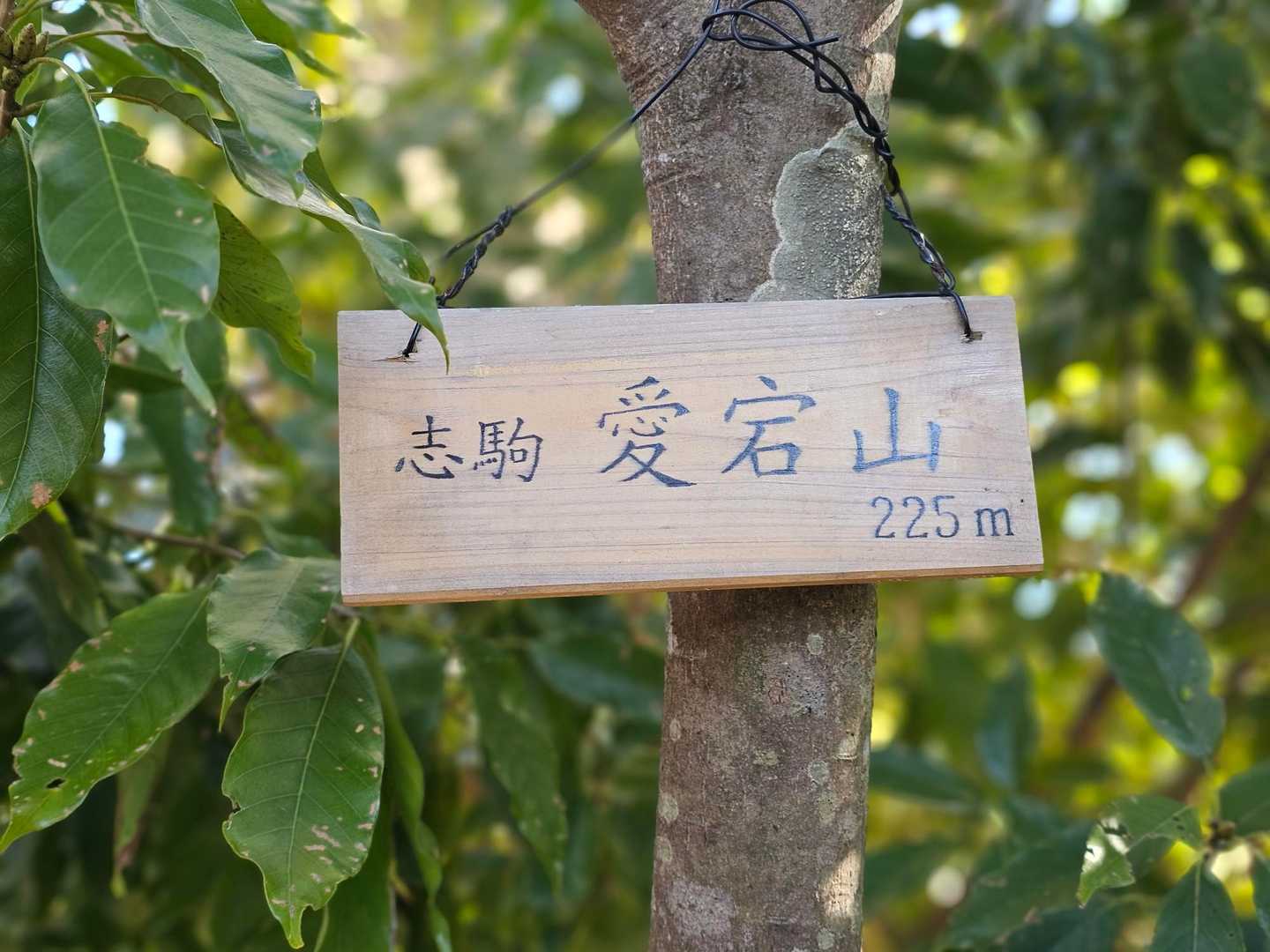 大塚山-三浦三良山-保田見峠-無実山-房州アルプス登山口 周回コースの写真