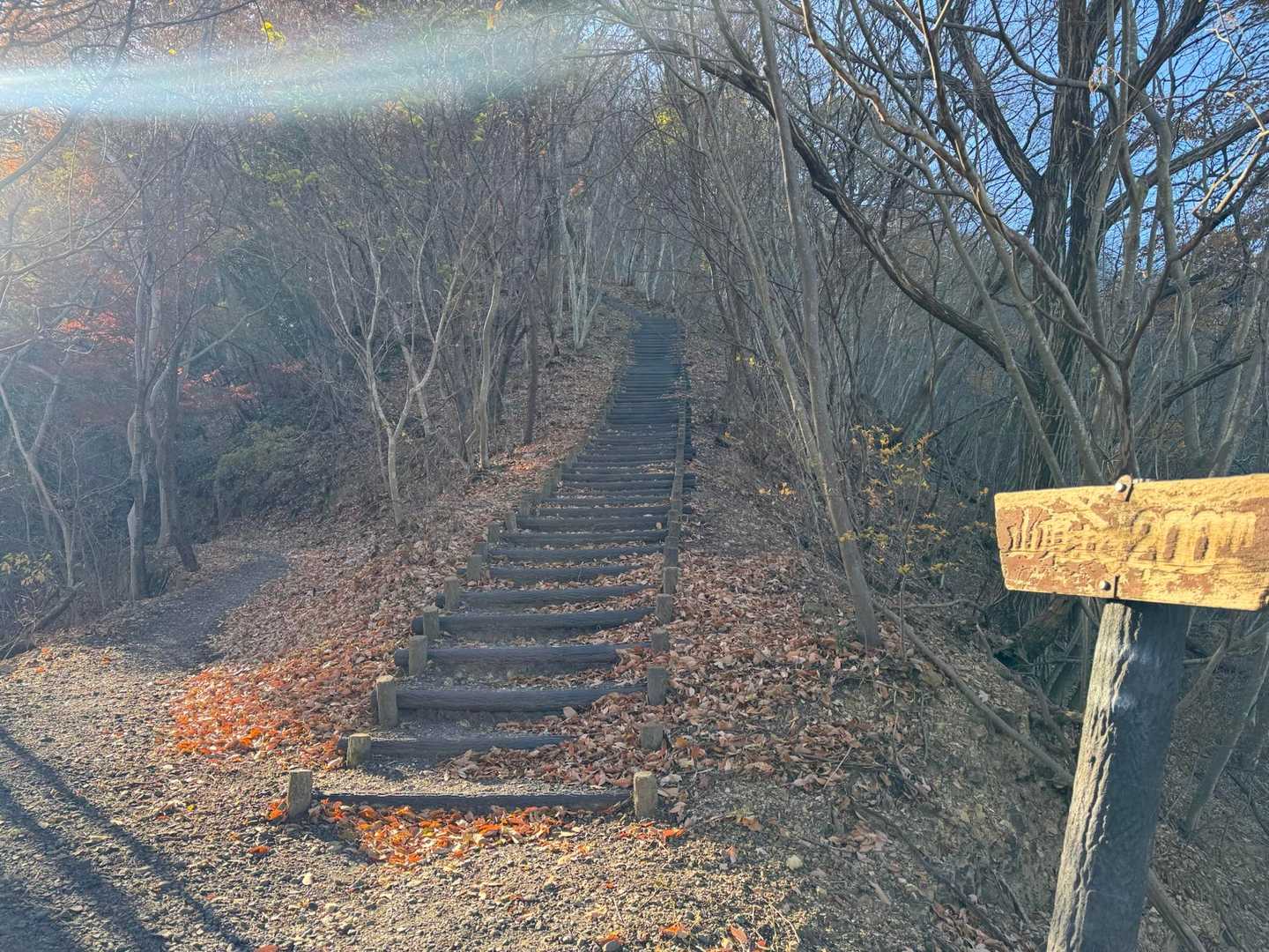 山頂まで200mですが まずは
↖️から展望台へ🏯