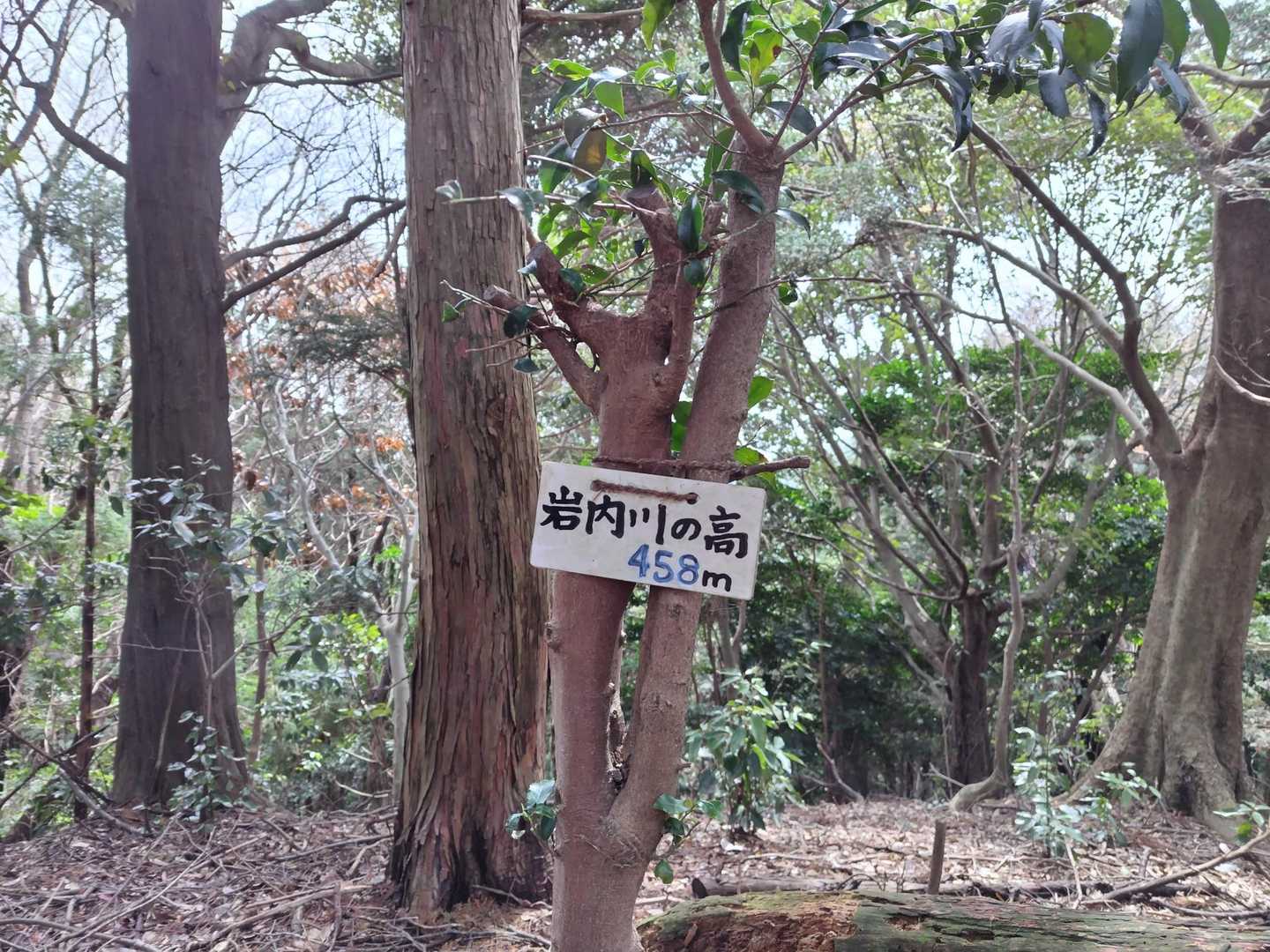 岩内（ようち）川の高