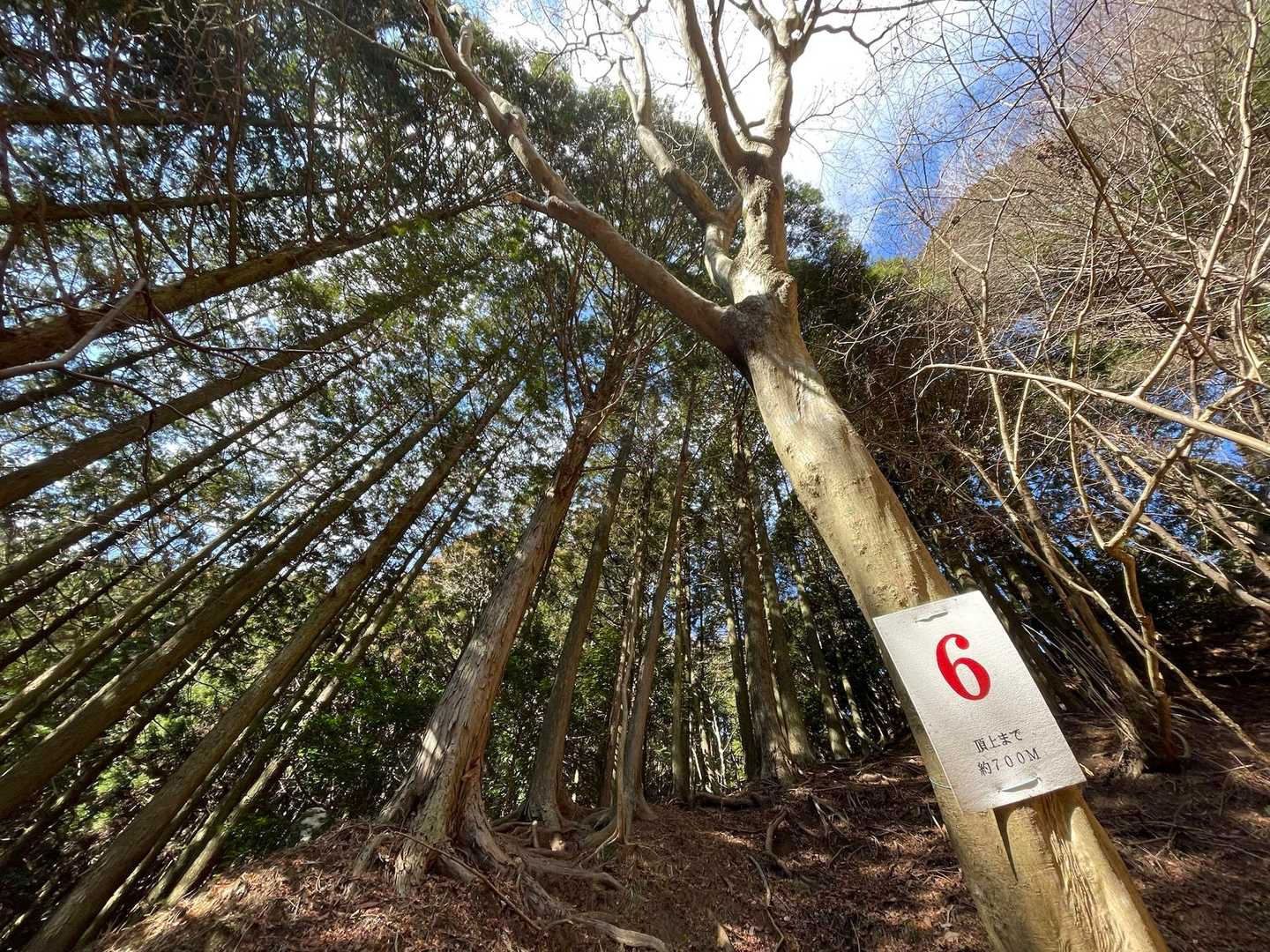 近所でランニングしたり🏃‍♂️
チャリで町内周回したり🚴‍♀️
あれこれチャレンジしたけど…