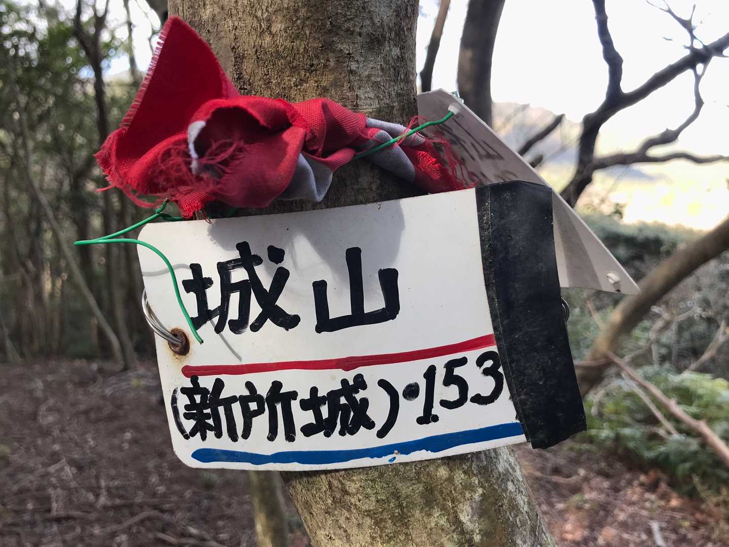 城山ピーク🚩