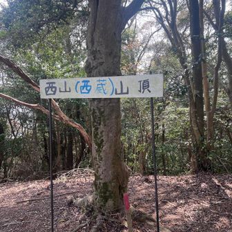 ラストピーク⛰️