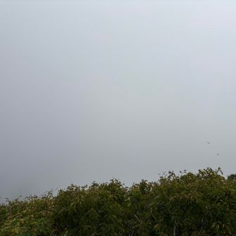 山形側は真っ白〜