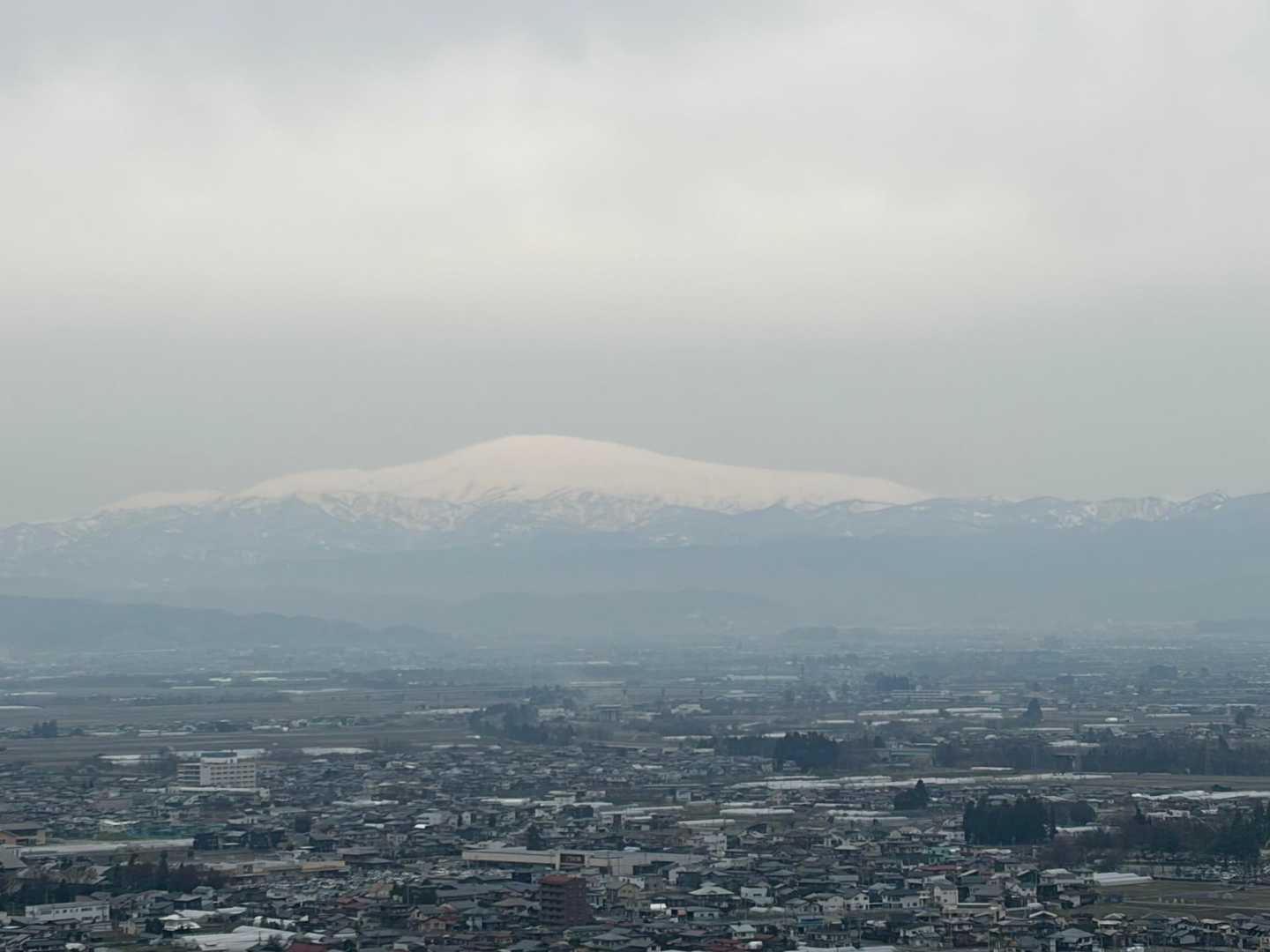 山家城址登山口-野伏山 往復コースの写真