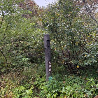 大休峠で小休止。