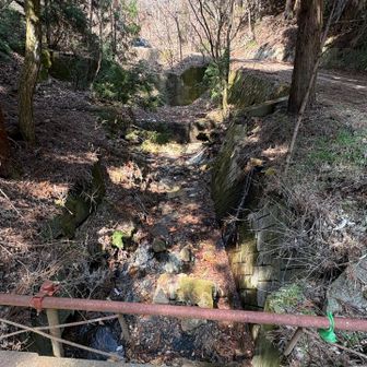 沢の水量は多くは無かった