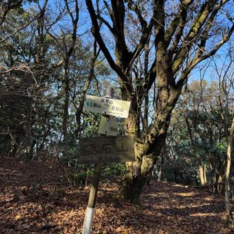 ここも初ピーク