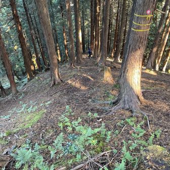 長〜い急降( *¯ㅿ¯*)
降りても降りても急降やった( *¯ㅿ¯*)