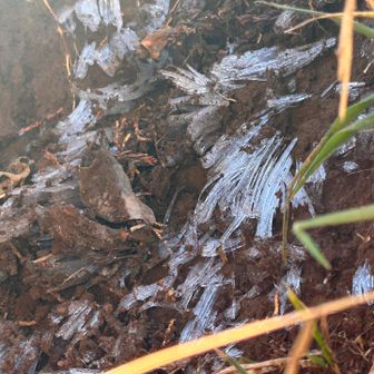 氷柱が出てきました