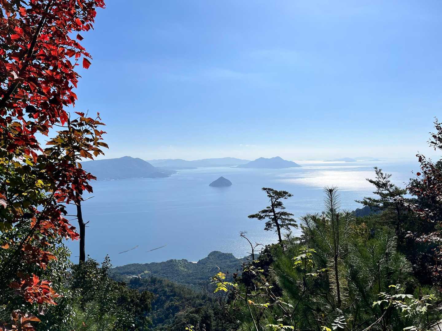 樹林帯から瀬戸内海が見えました。