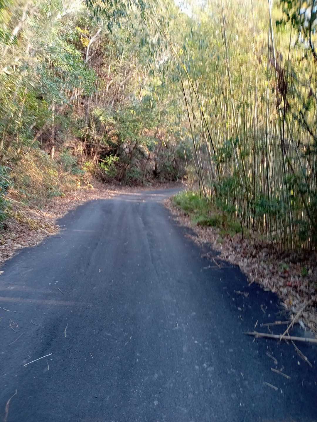 舗装路歩きですが、車で登る事も出来そうです😀