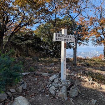 向山山頂

赤穂高校記念樹
「ありのままの自分で
光輝くことがでこますように」
願いが添えられた　ミモザ