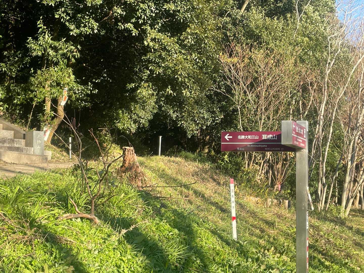 登山口の前は公園
元気なお子様方が遊んでました。
風の子たちいっぱい☺️