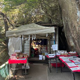 本日のミッション
古いお札を納めて新たに授かる⛩️✨をクリア！