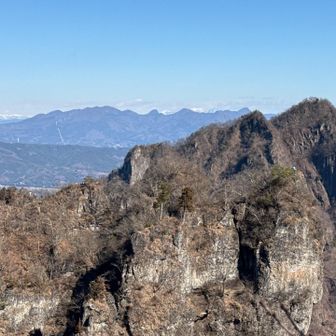 木が禿げてるから位置がわかりやすいね