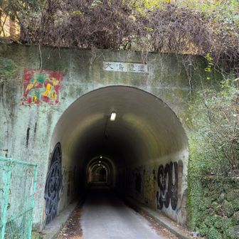 犬鳴隧道、気味が悪いの表現がピッタリ😨