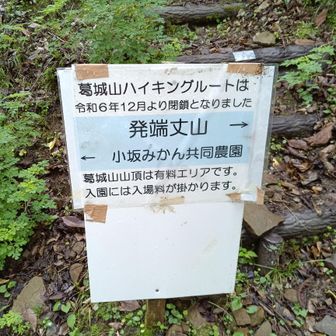 葛城山に行く途中で、葛城山山頂に立つためには、お金がかかることを初めて知りました。とりあえず行ってみようとなりました。