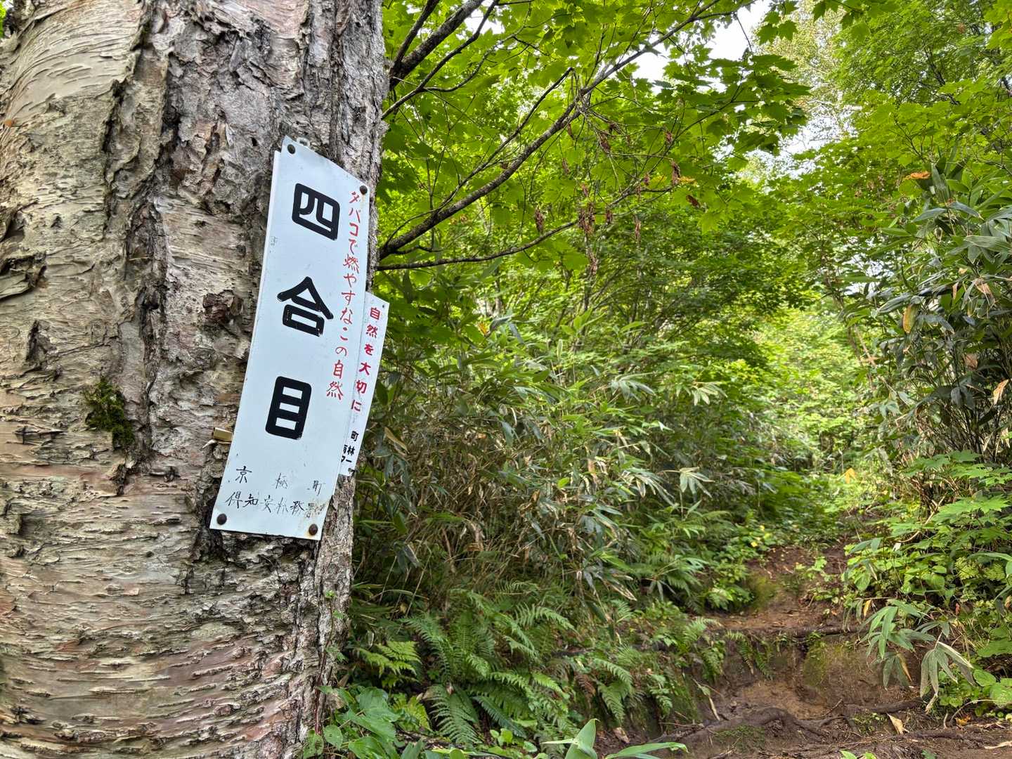 京極登山口-羊蹄山 往復コースの写真