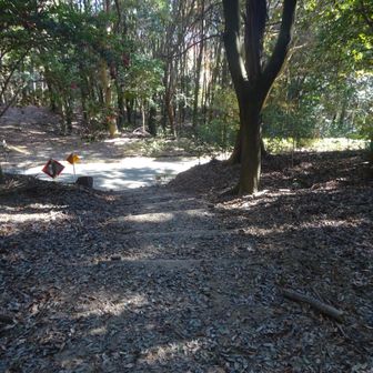 車道にでました